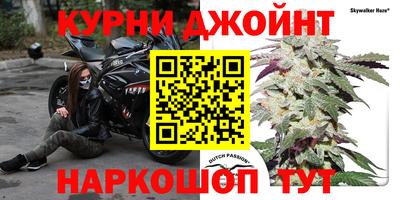 шишки Краснознаменск