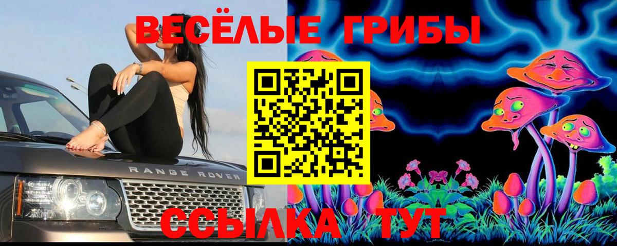 Галлюциногенные грибы GOLDEN TEACHER Котлас